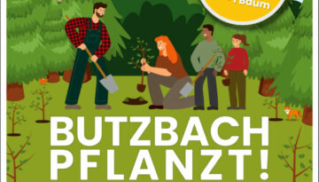 Insta Baumpflanzen 2025