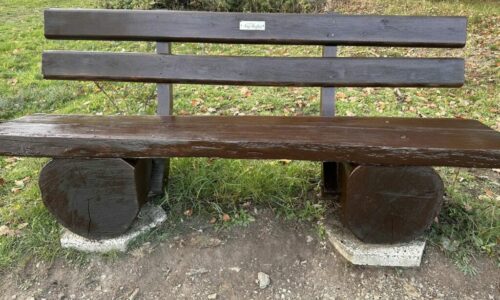 Pflege der Vereinsbänke rund um Hoch-Weisel