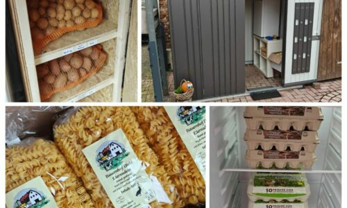 Niklas Diehl – Regionaler Landwirt mit eigener Direktvermarktung