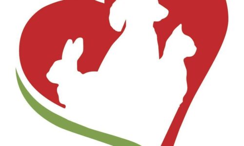 Große Katzenfangaktion in Hoch-Weisel – Wir brauchen Eure Unterstützung