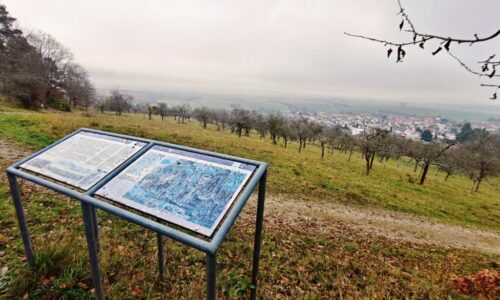 Besonderer Rundgang am 11.04. durch die Landschaft in Hoch-Weisel
