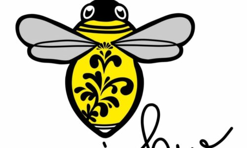 Bembelbees Tänzerinnen gesucht! Probetraining bei den Bembelbees!