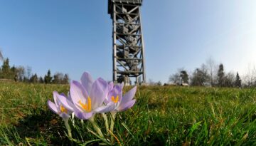 Screenshot 2025-10-27 210818