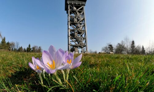 Screenshot 2025-10-27 210818 Helfer gesucht für den 01.05. auf dem Hausberg