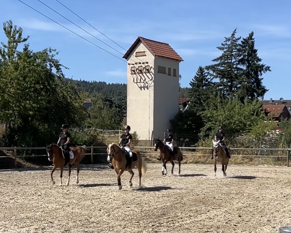 Screenshot Erfolgreiches Sommerfest begeisterte zahlreiche Besucher