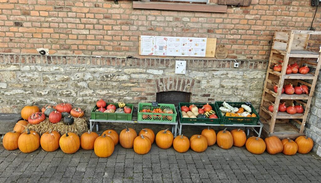 oplus_2097152