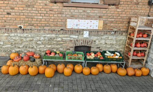 oplus_2097152 Kürbisverkauf in Hoch-Weisel